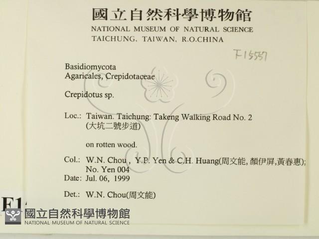 登錄號:F0015557藏品圖，第2張