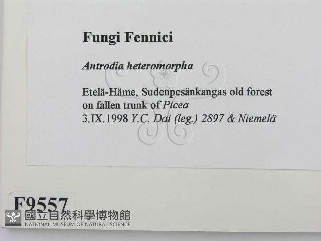 登錄號:F0009557藏品圖，第2張