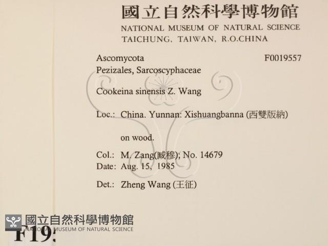 登錄號:F0019557藏品圖，第2張