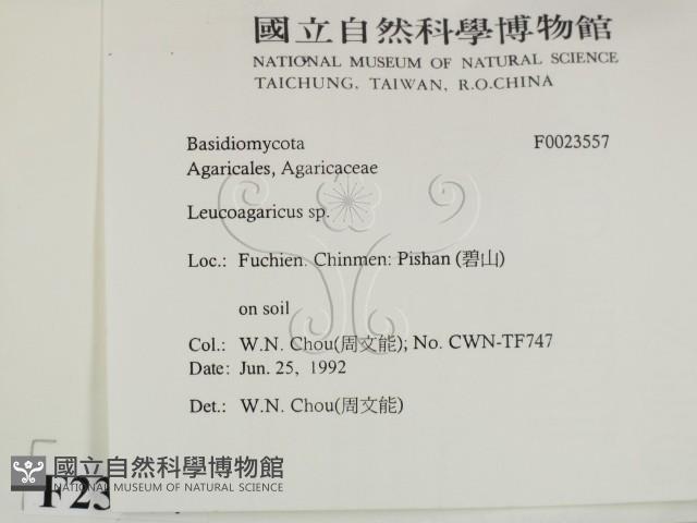 登錄號:F0023557藏品圖，第2張