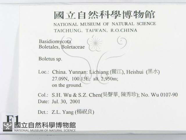 登錄號:F0013557藏品圖，第2張