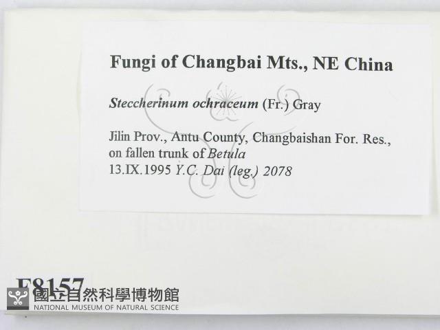 登錄號:F0008157藏品圖，第2張