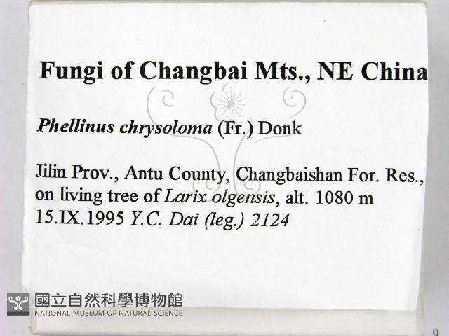 登錄號:F0006157藏品圖，第2張