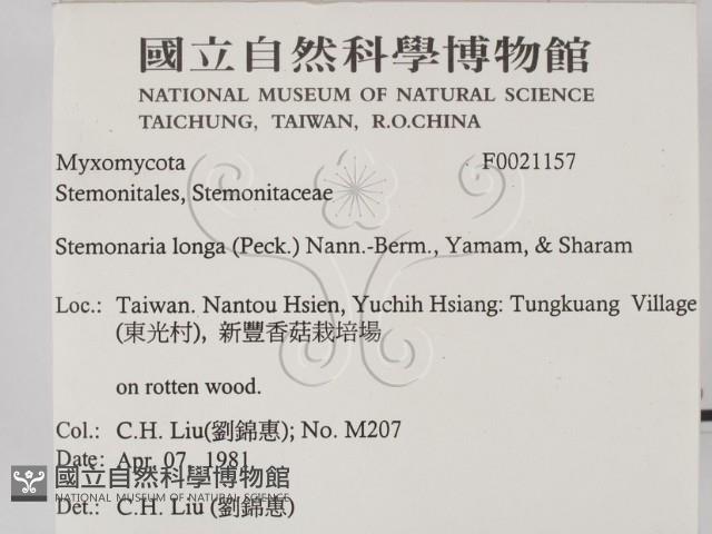 登錄號:F0021157藏品圖，第2張