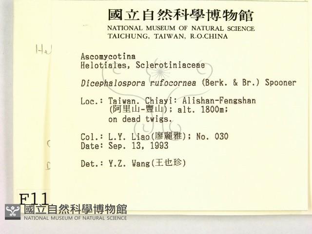 登錄號:F0001157藏品圖，第2張