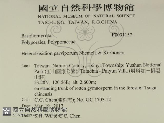 登錄號:F0031157藏品圖，第2張