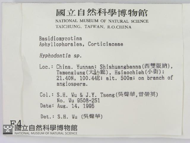 登錄號:F0004157藏品圖，第2張