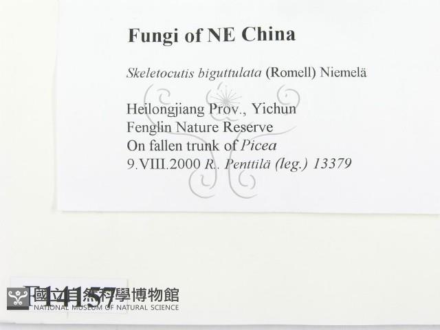 登錄號:F0014157藏品圖，第2張