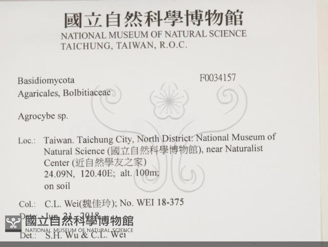 登錄號:F0034157藏品圖，第2張