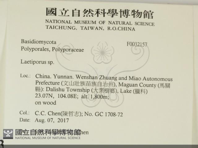 登錄號:F0032157藏品圖，第2張