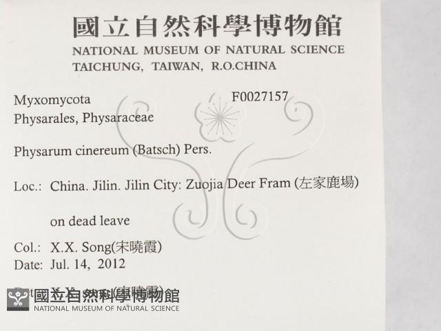 登錄號:F0027157藏品圖，第2張