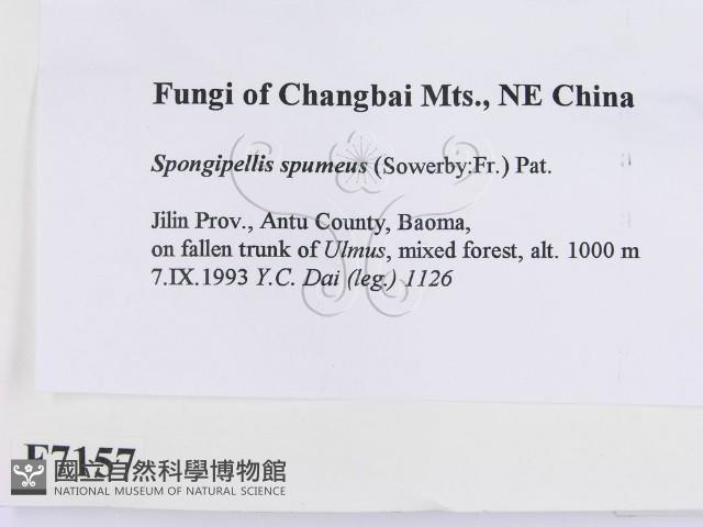 登錄號:F0007157藏品圖，第2張