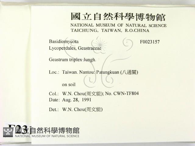 登錄號:F0023157藏品圖，第2張