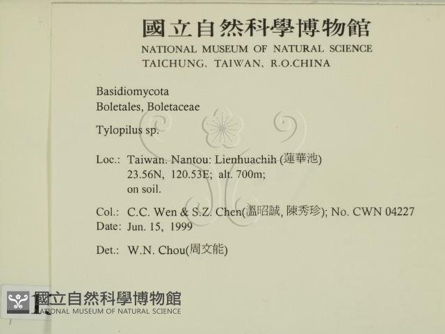 登錄號:F0013157藏品圖，第2張