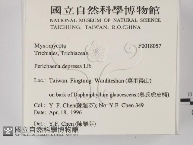 登錄號:F0018057藏品圖，第2張