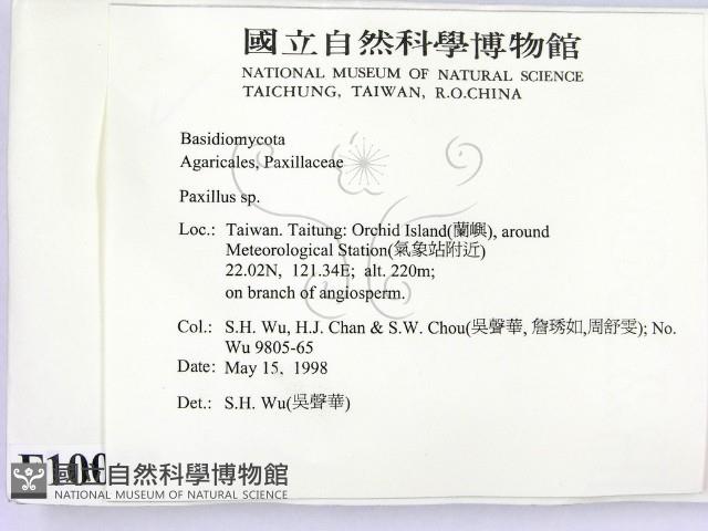 登錄號:F0010057藏品圖，第2張