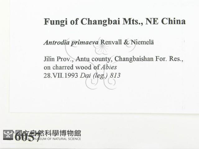 登錄號:F0006057藏品圖，第2張