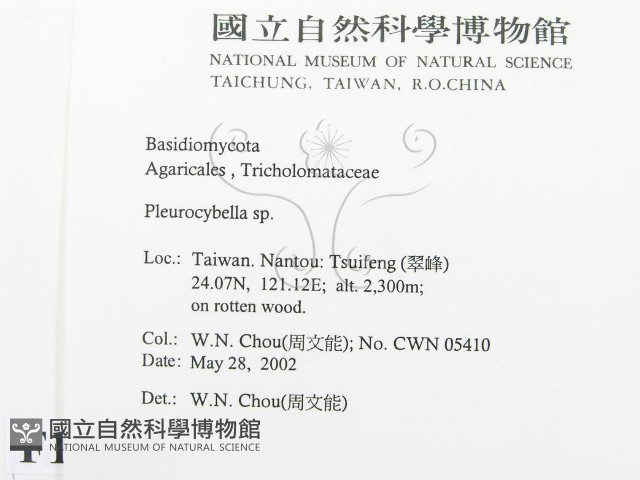 登錄號:F0016057藏品圖，第2張