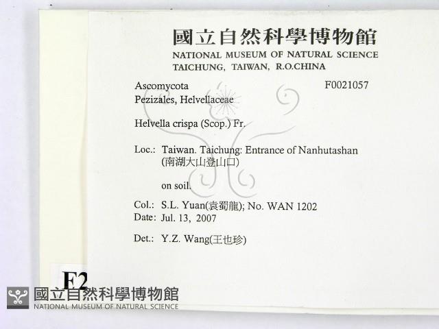 登錄號:F0021057藏品圖，第2張