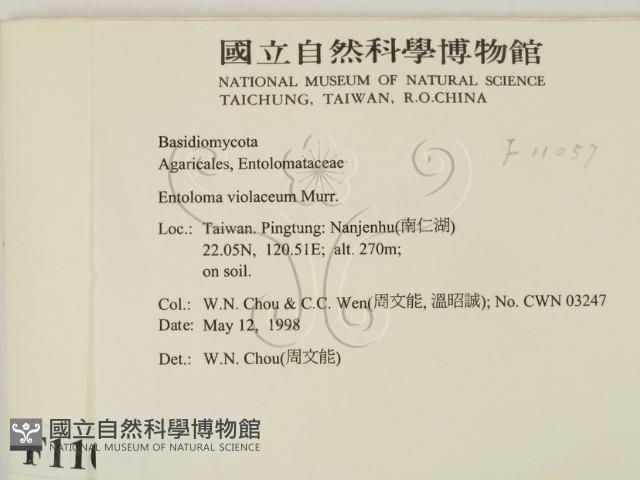 登錄號:F0011057藏品圖，第2張