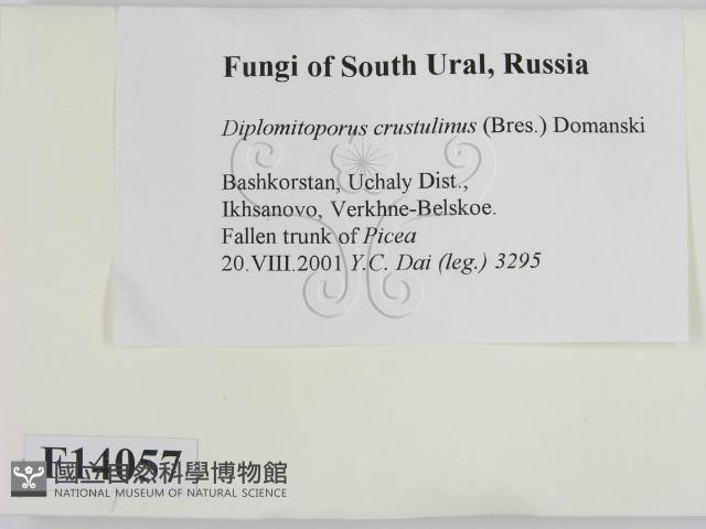 登錄號:F0014057藏品圖，第2張