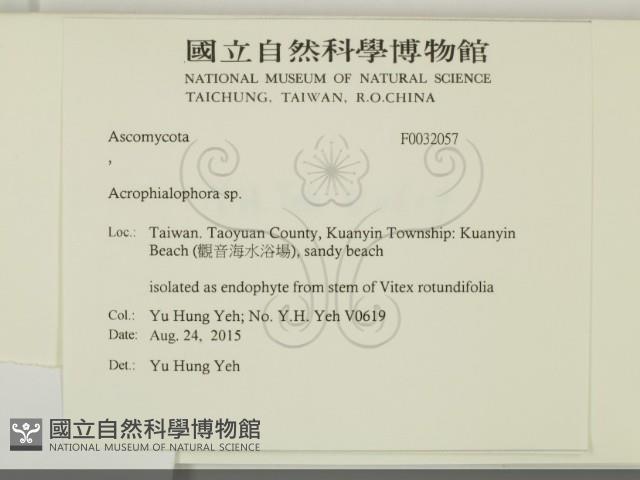 登錄號:F0032057藏品圖，第2張