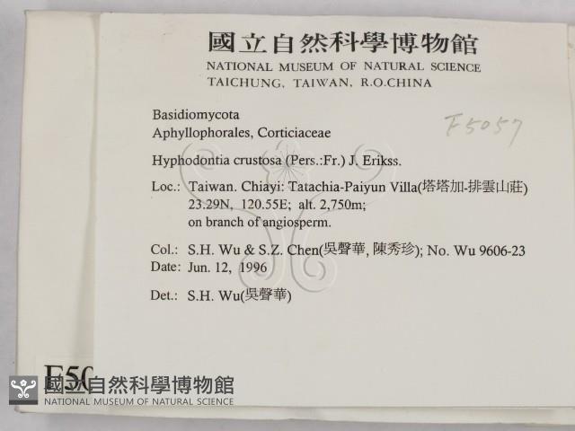 登錄號:F0005057藏品圖，第2張