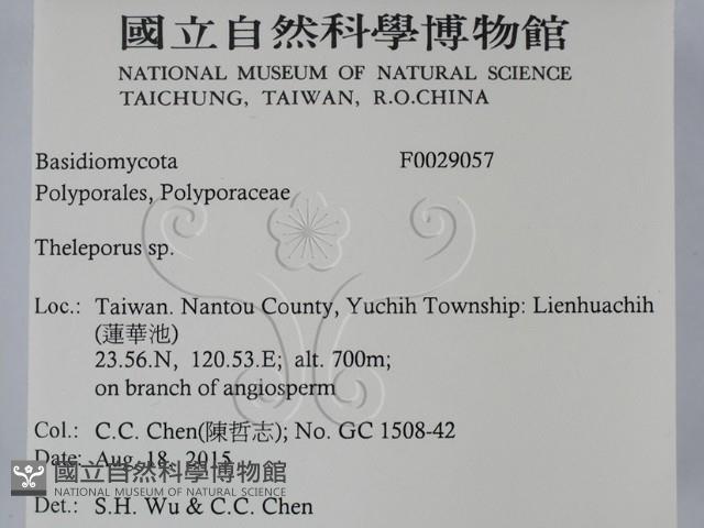 登錄號:F0029057藏品圖，第2張