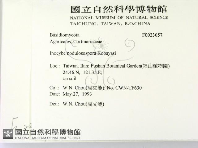登錄號:F0023057藏品圖，第2張