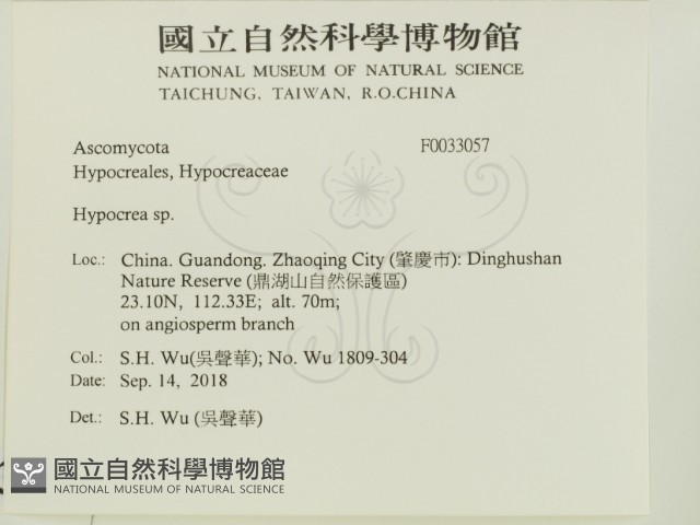 登錄號:F0033057藏品圖，第2張