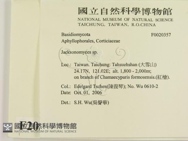傑克菌屬藏品圖，第2張