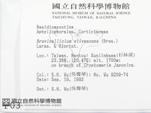 登錄號:F0000357藏品圖，第2張