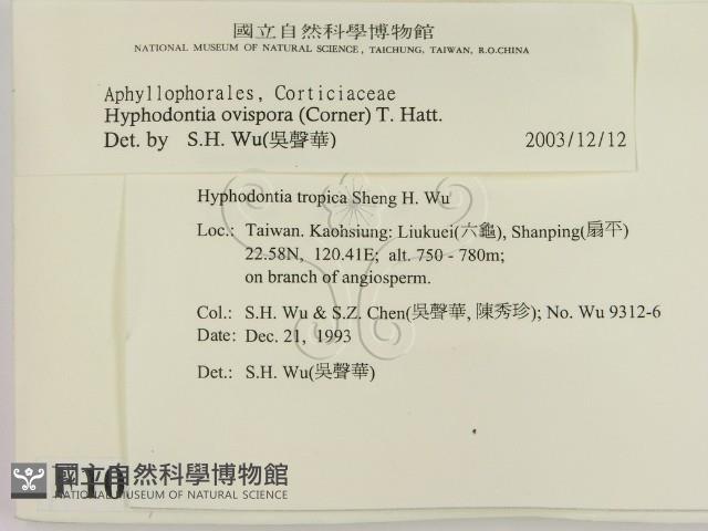 登錄號:F0010357藏品圖，第2張