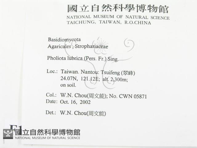 登錄號:F0016357藏品圖，第2張