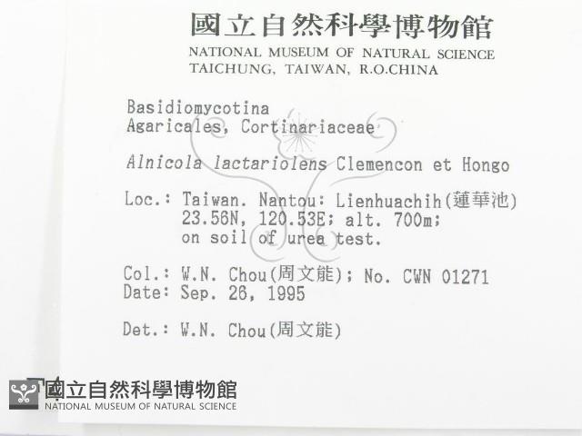 登錄號:F0004357藏品圖，第2張