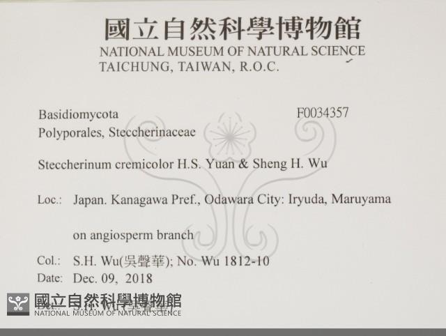 登錄號:F0034357藏品圖，第2張