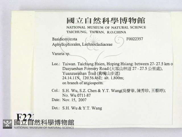 登錄號:F0022357藏品圖，第2張