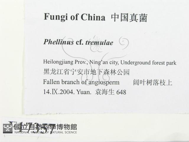 登錄號:F0017357藏品圖，第2張