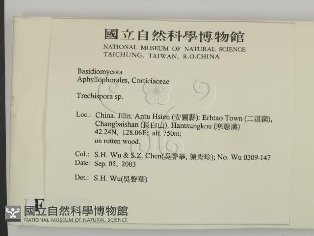登錄號:F0015357藏品圖，第2張
