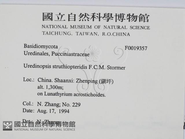 登錄號:F0019357藏品圖，第2張