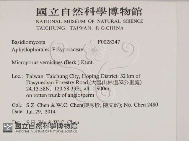 Accession Number:F0028247 Collection Image, Figure 2, Total 3 Figures