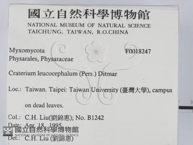 登錄號:F0018247藏品圖，第2張