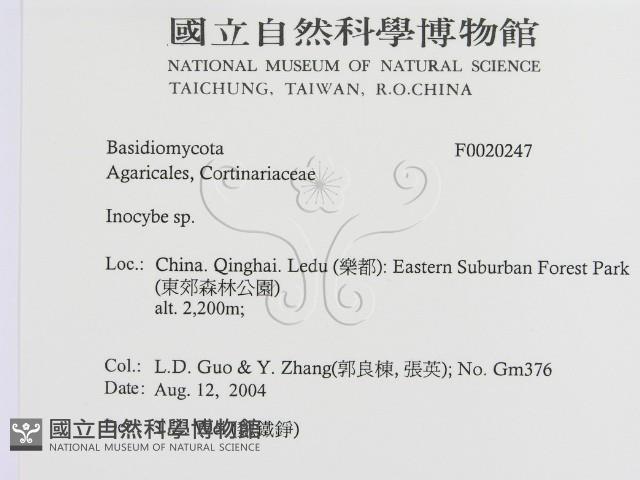 登錄號:F0020247藏品圖，第2張