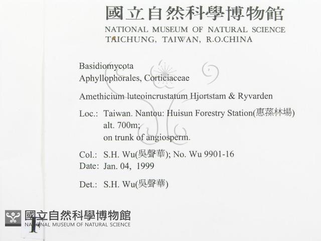 登錄號:F0010247藏品圖，第2張