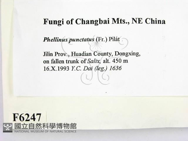 登錄號:F0006247藏品圖，第2張