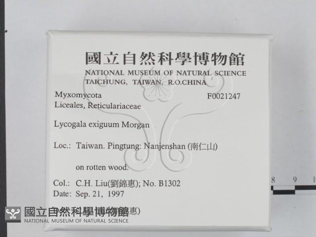 登錄號:F0021247藏品圖，第2張