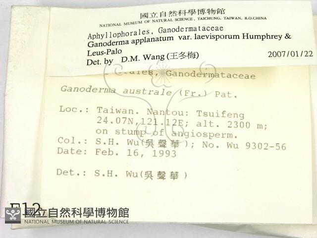 登錄號:F0001247藏品圖，第2張