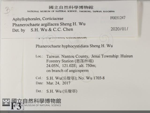 登錄號:F0031247藏品圖，第2張