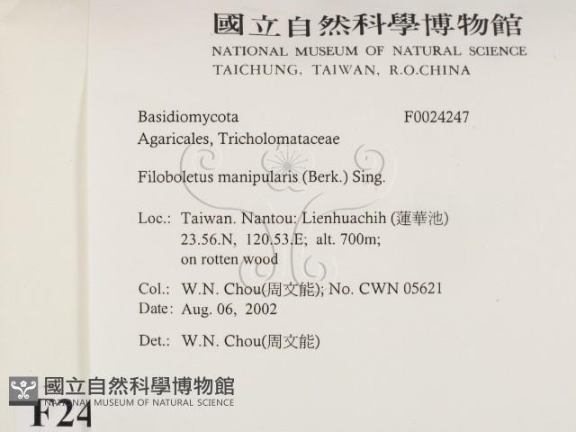 登錄號:F0024247藏品圖，第2張