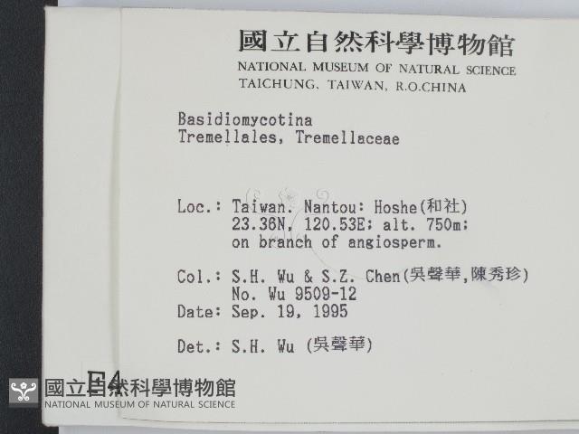 登錄號:F0004247藏品圖，第2張